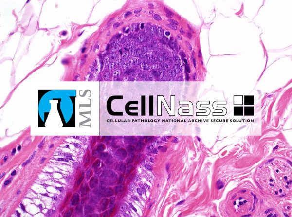 CellNass: the solution for archiving pathological samples
